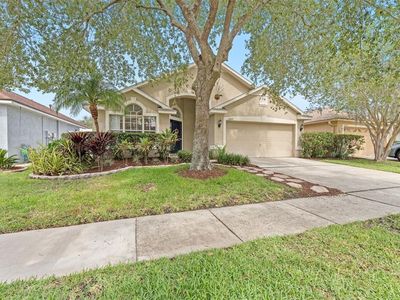 12229 Coldstream Ln, Tampa, FL, 33626