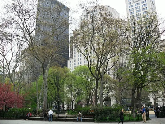 Rented by MNS | media 5