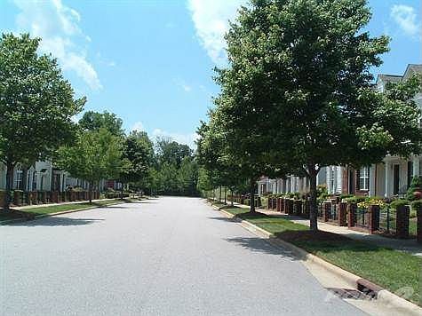 Tree lined street