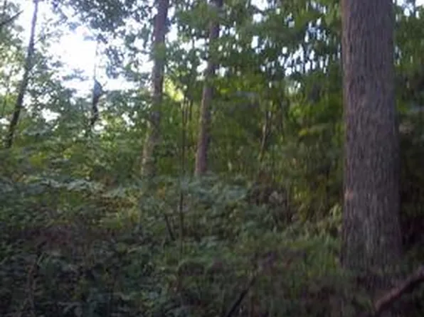 Sam Mason Rd, Bunker Hill, WV 25413