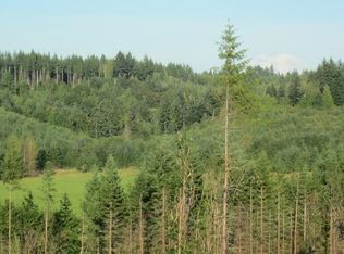 Pleasant Valley Rd, Adna, WA 98522