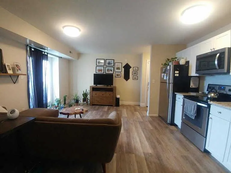 149 Paladin Dr — Photo 6