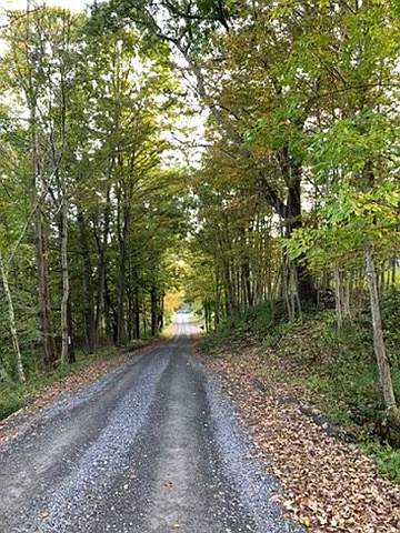 97 Taconic Creek Rd — Photo 3