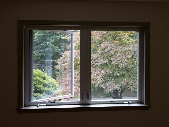 Dogwood tree through living room window.