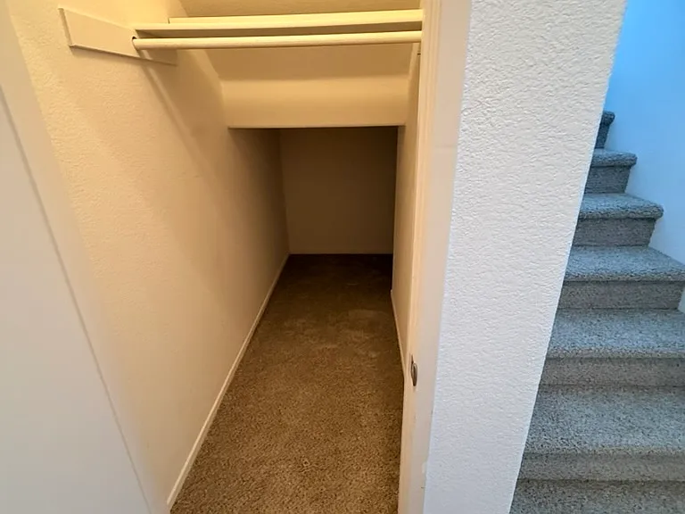 Storage space under stairs