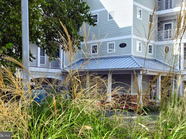 33580 Windswept Dr Unit 4203, Millsboro, DE 19966