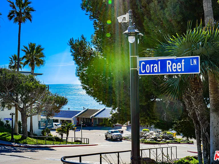 11874 Coral Reef Ln — Photo 15
