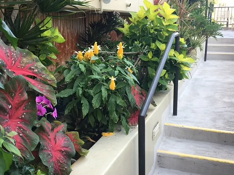 2140 Kuhio Ave #2306 — Photo 13