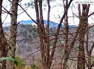 5354 West Ridge Lane, Ferguson, NC 28624