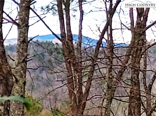 5354 West Ridge Lane, Ferguson, NC 28624
