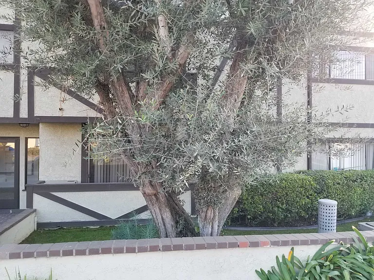 Moorpark St — Photo 2