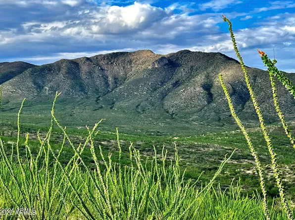 XXXX S Gold Gulch Road #5, Bisbee, AZ 85603