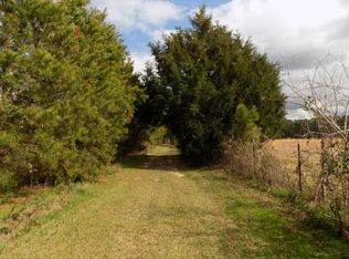 7100 County Road 110, Brundidge, AL 36010