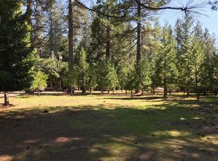 5308 Blue Mountain Dr, Grizzly Flats, CA 95636