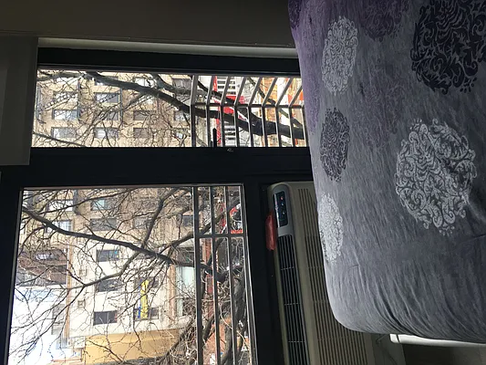 Rented by Dan Shlomo, LREB | media 58