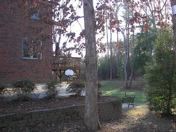 Backyard from garage side