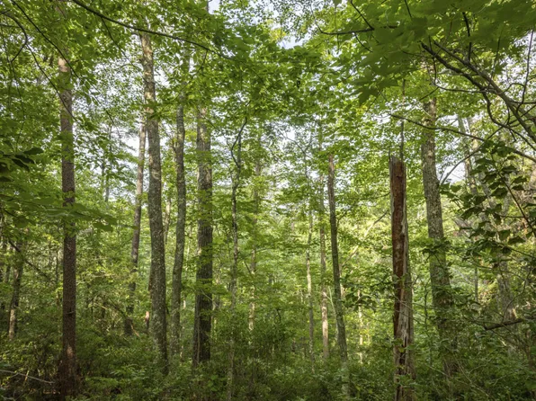 LOT 116 120 Highland Hts, Zoe, KY 41397
