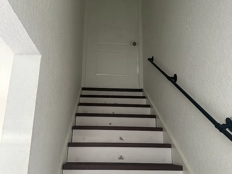 20324 Mardi Gras St #2 — Photo 54