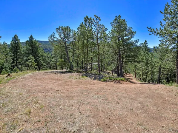 20083 S State Highway 67, Divide, CO 80814