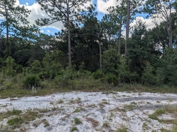 XXX WEDGEWOOD CIRCLE LOT 187, MOUNT DORA, FL 32757