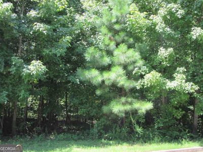827 Moseley Dr, Stockbridge, GA, 30281