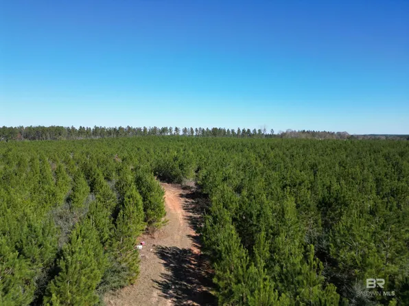 LOT 5 Robinsonville Rd, Atmore, AL 36502