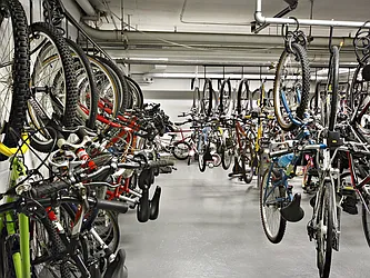 Rented by Peter Ashe