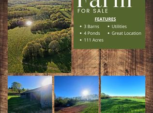 000 Bass Hollow Road, Galena, MO 65656