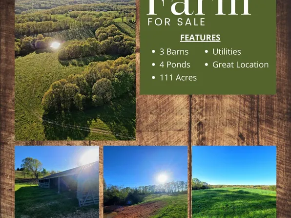 000 Bass Hollow Road, Galena, MO 65656