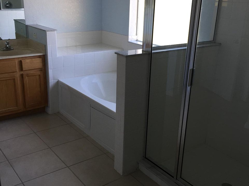 Master bath and shower