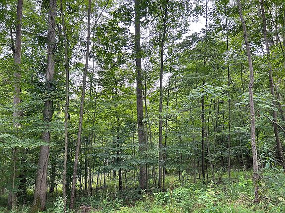 5th image of 34685 Township Road 68