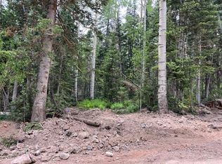 267 N Forest Dr, Brian Head, UT 84719