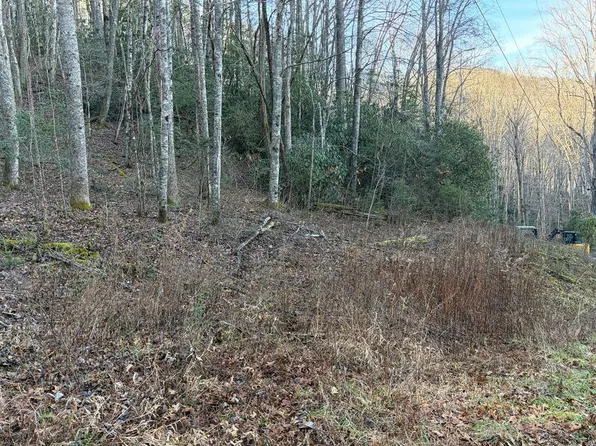 0 Choga Trl Lot 19, Topton, NC 28781