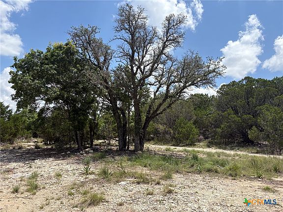 4th image of 317 County Road 3062