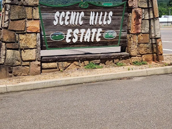 Chapman View Dr, Seymour, TN 37865