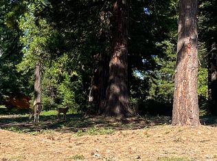 1208 White Fir Trl, Westwood, CA 96137