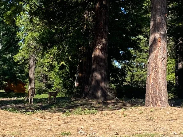 1208 White Fir Trl, Westwood, CA 96137