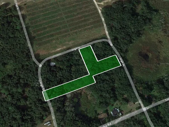 8641 High St, Yalaha, FL 34797