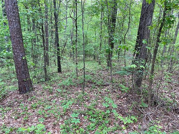 4th image of 0 Hale Mountain Ct Lot 16