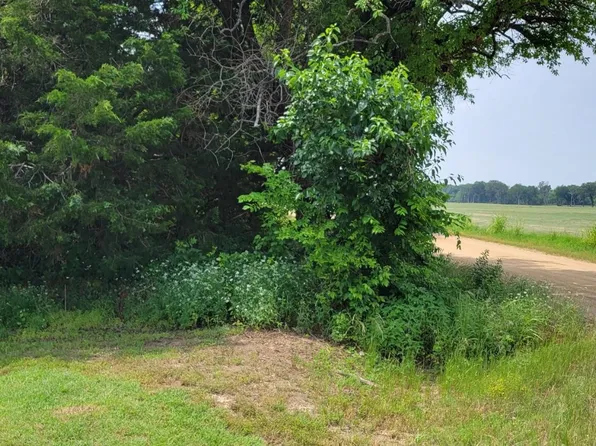0 Old Sadler Rd, Sadler, TX 76264