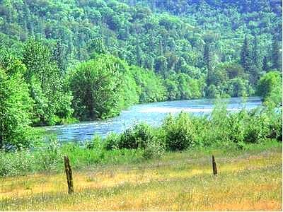 4th image of 11983 Highway 234
