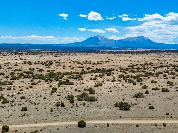 183 Greenhorn View Ln, Walsenburg, CO 81089
