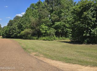 100 Luke Ln, Coldwater, MS 38618