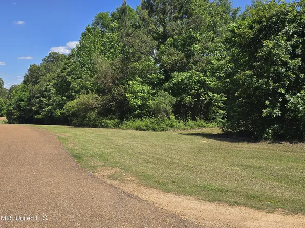 100 Luke Ln, Coldwater, MS 38618