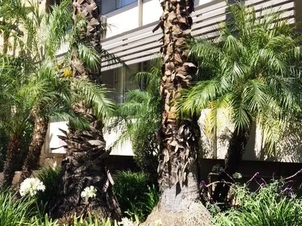 1544 N Hayworth Ave, Los Angeles, CA 90046