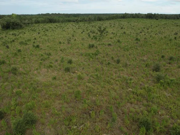 0 Americus Rd, Marianna, FL 32446