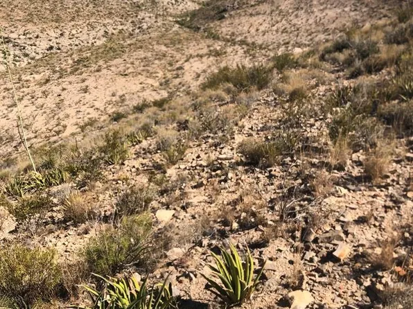 6844 NW Cedar Springs Rd, Terlingua, TX 79852