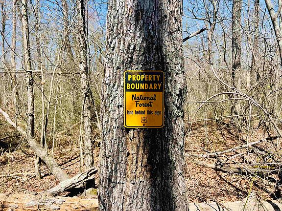 2nd image of Golden Pond Ln