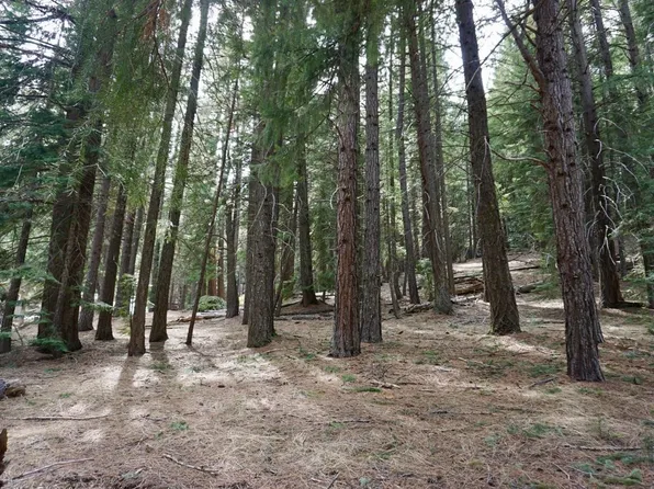 6 Pine Tree Ct, Blairsden, CA 96103