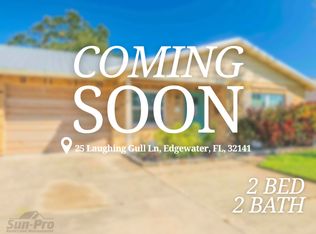 25 Laughing Gull Ln, Edgewater, FL 32141
